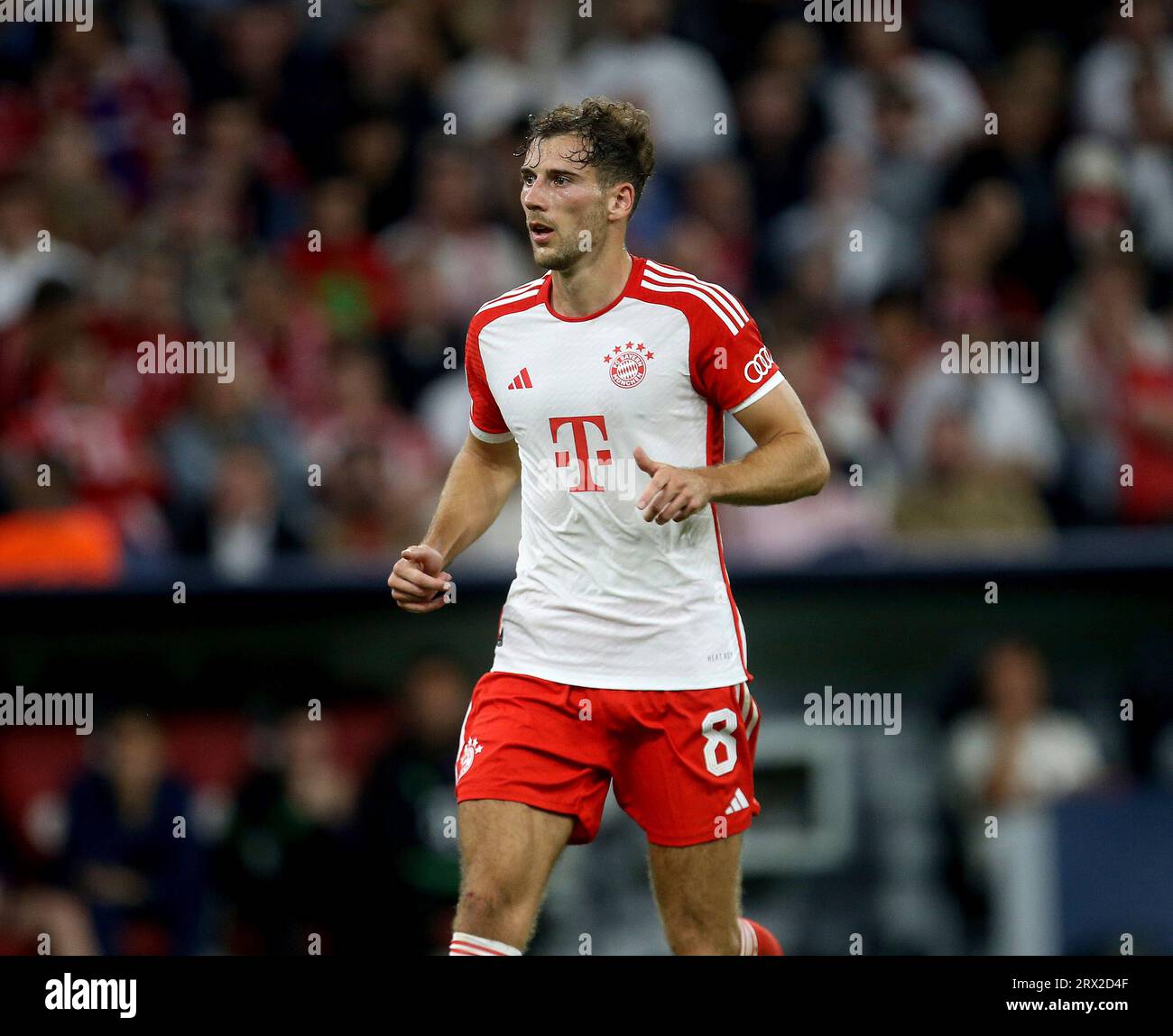 Bayern Munich vs Galatasaray, UEFA Champions League 23/24