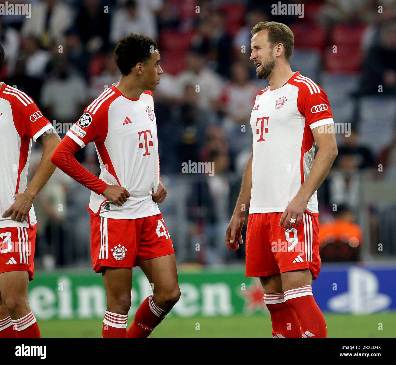 Crisp Musiala & Kane Score As Bayern End Psv's Champions League Hopes Background in 4K Crisp Musiala & Kane Score As Bayern End Psv's Champions League Hopes Background in 4K