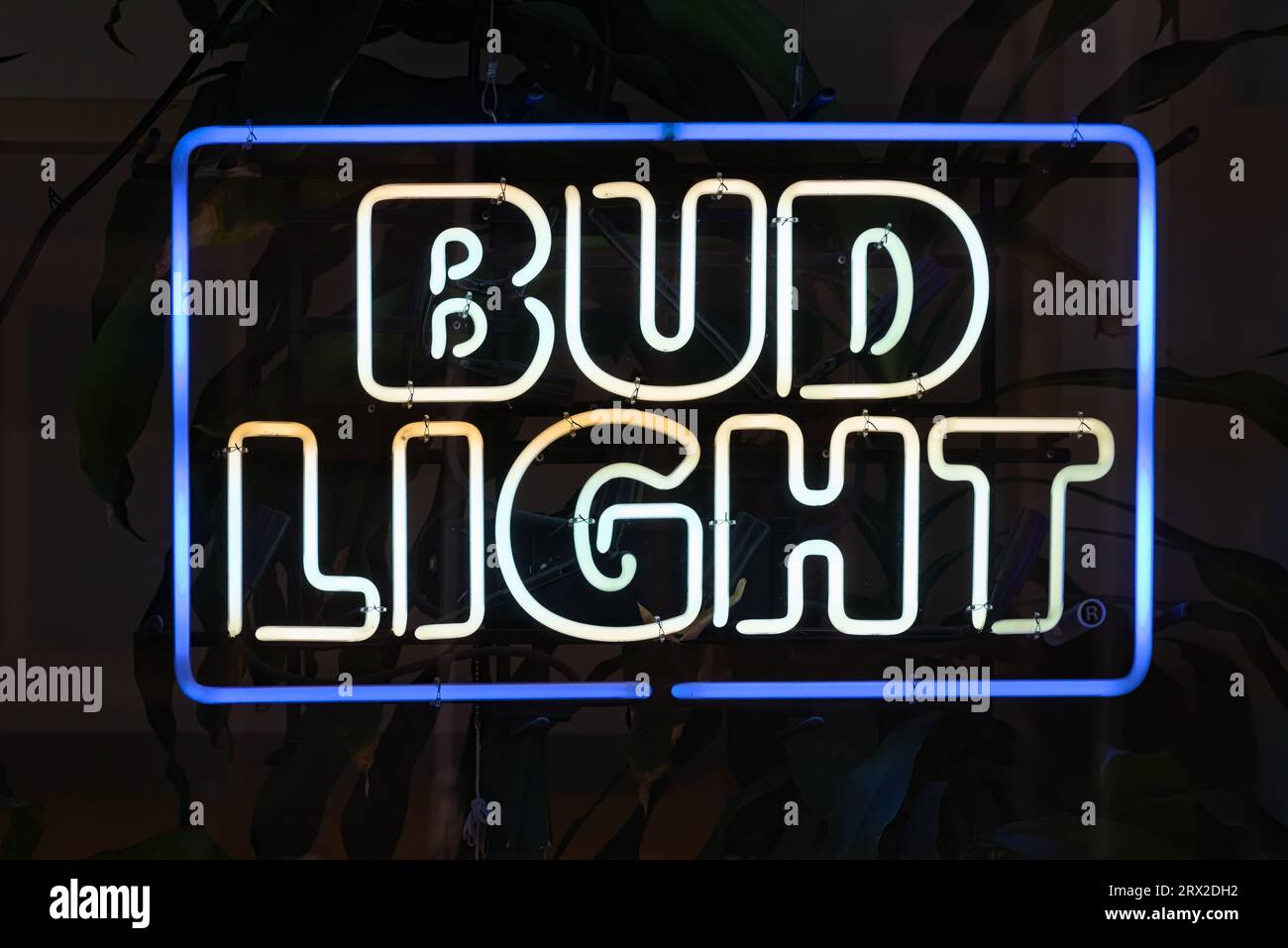 Bud light platinum on sale neon sign