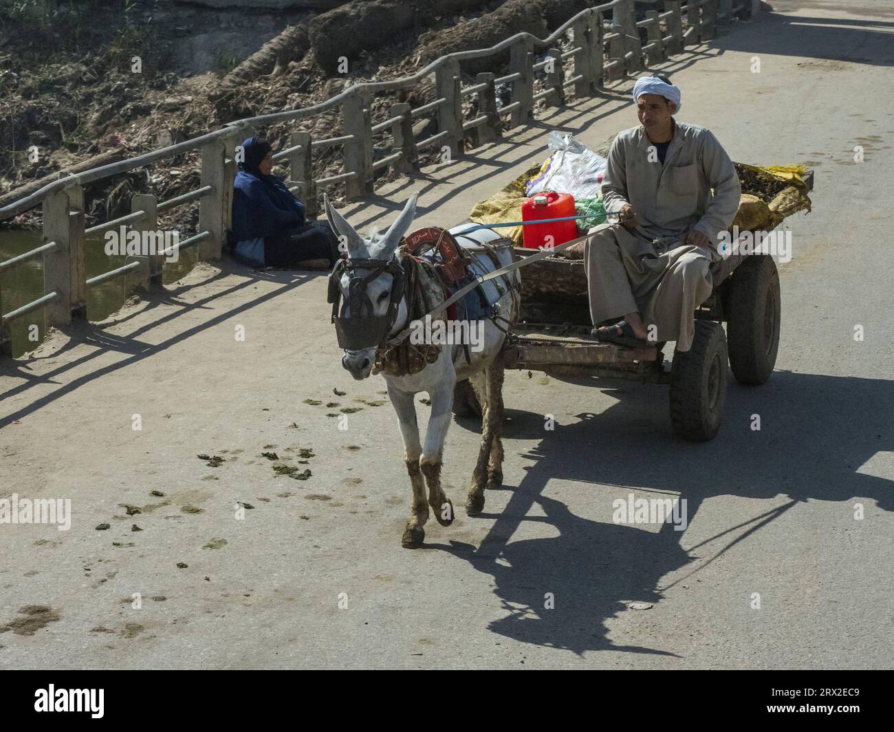 Man on a donkey cart near the Memphite Necropolis, UNESCO World Heritage Site, Egypt, North Africa Africa Stock Photo