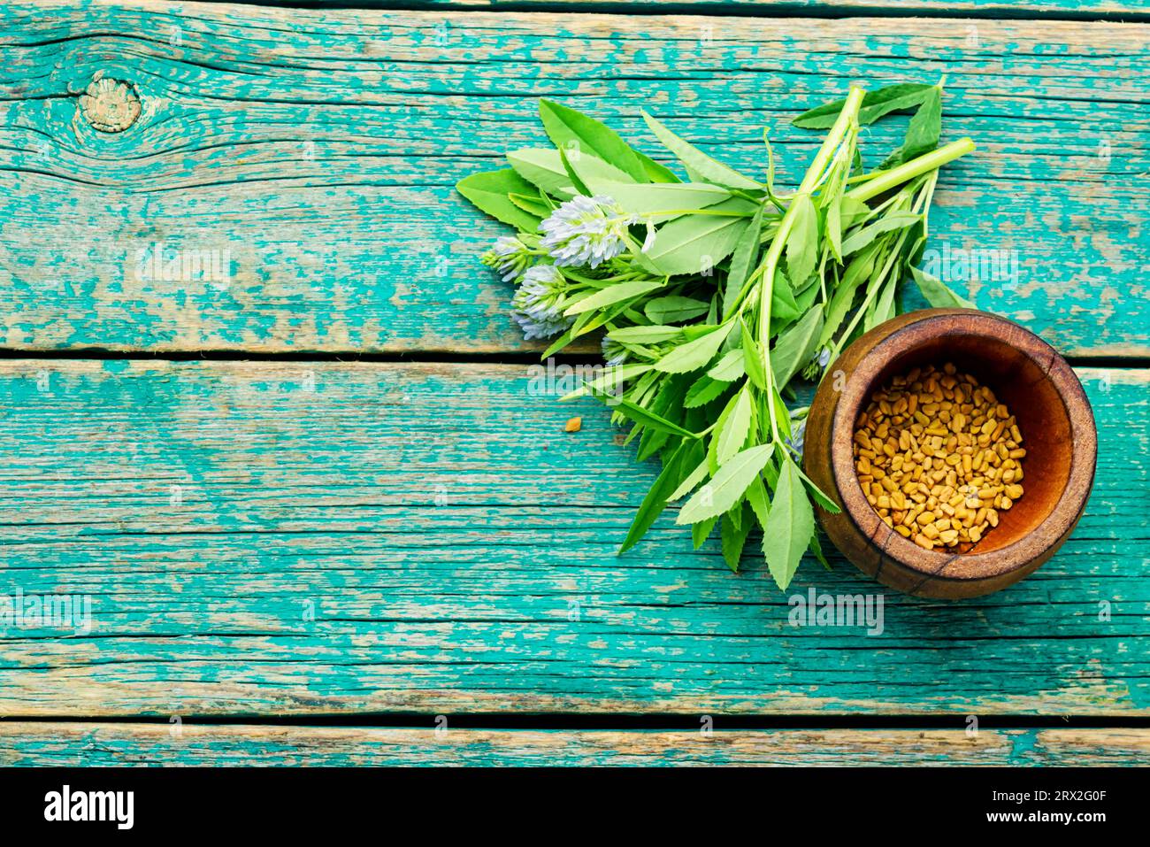 Fenugreek, as aromatic spice and as an alternative medicine. Medicinal raw materials. Space for text Stock Photo