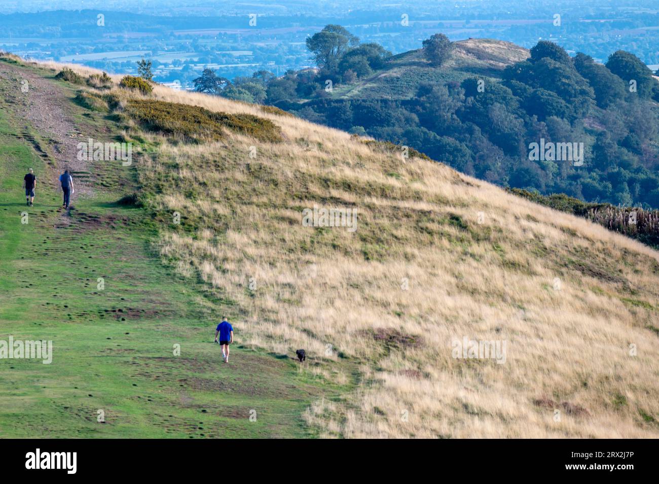 Southern end of Malvern Hills,beautiful smooth rolling hillsides,popular walking area,beautiful views across the ancient hillfort,towards rural Glouce Stock Photo