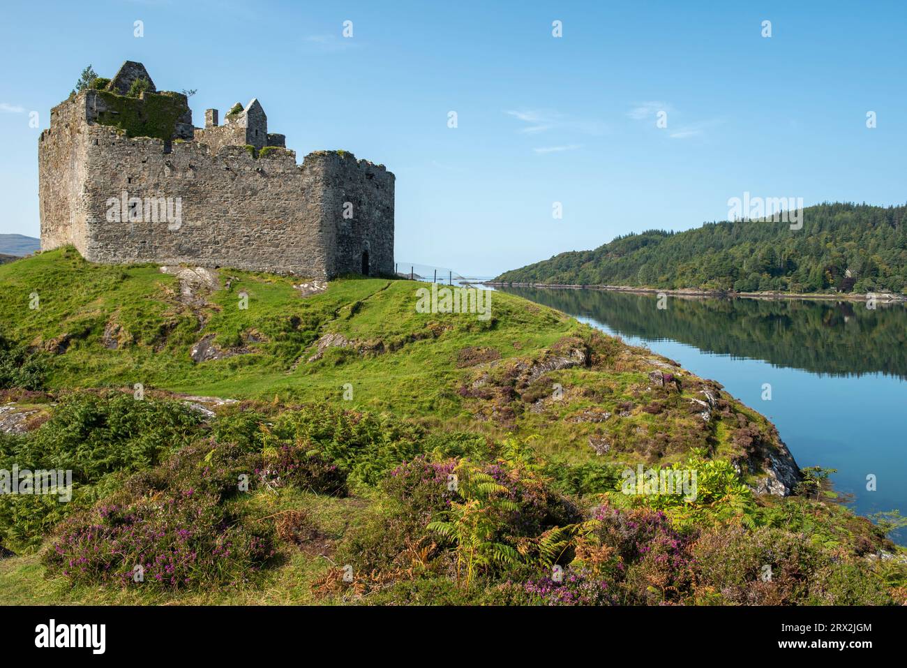 Tioram Castle, Loch Moidart, Lochaber, Scotland, UK Stock Photo Alamy