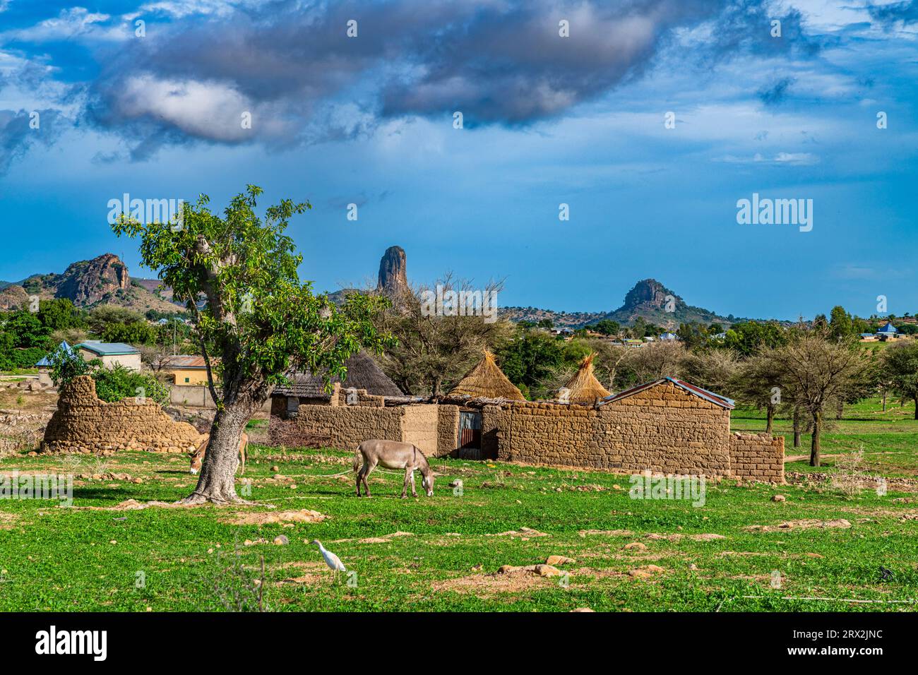 Compound walls in lunar landscape, Rhumsiki, Mandara mountains, Far