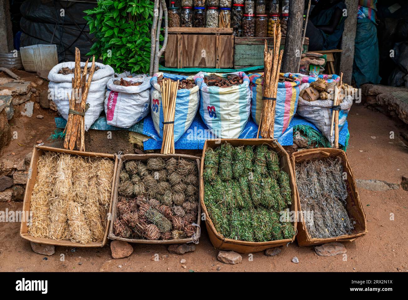Local roots and leaves, traditional medicine market, Garoua, Northern Cameroon, Africa Stock Photo