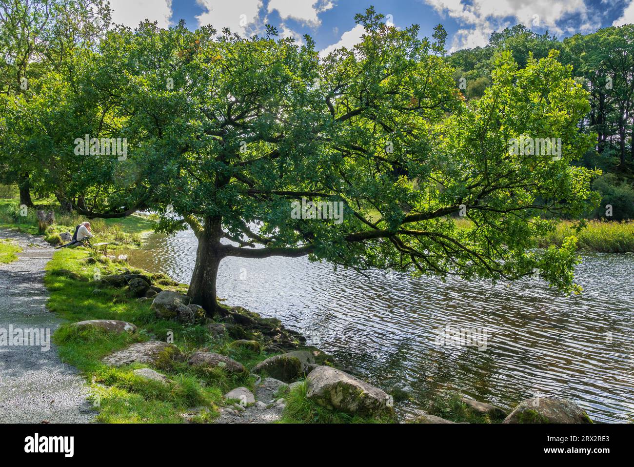 The river Brathay on the Cumbrian Way at Elterwater near Ambleside in the Lake DSistrict. Tranquill scene by the Elter Water in the Lake District Nati Stock Photo