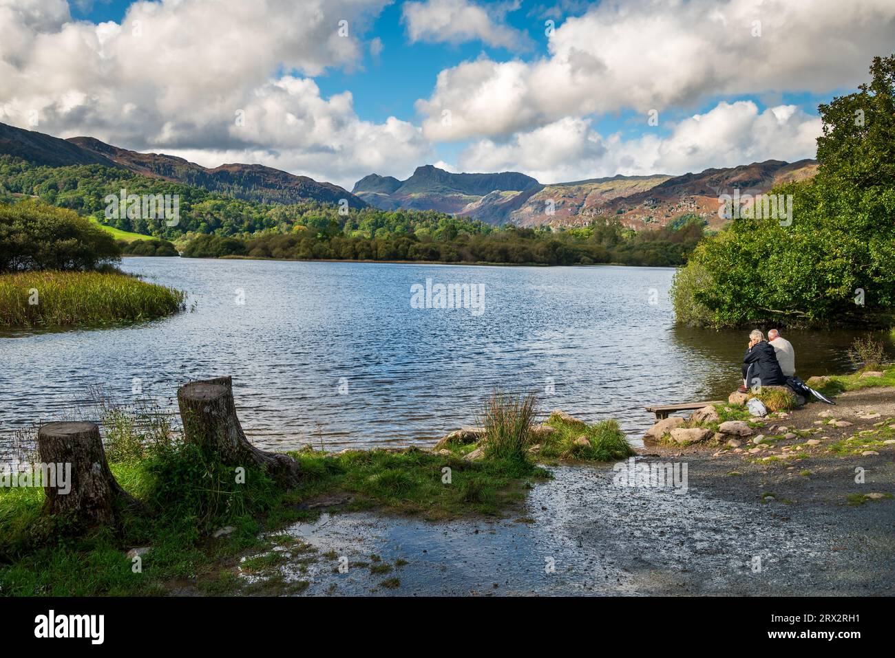 Tranquill scene by the Elter Water in the Lake District National Park towards the Langdale Pikes. Stock Photo