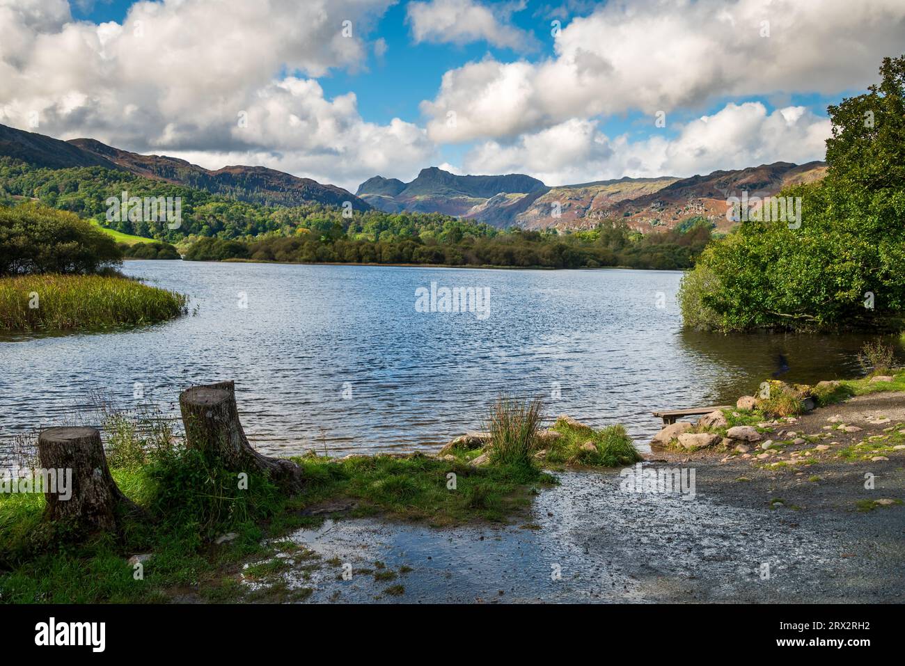 Tranquill scene by the Elter Water in the Lake District National Park towrds Birk Rigg Park Coppice. Stock Photo