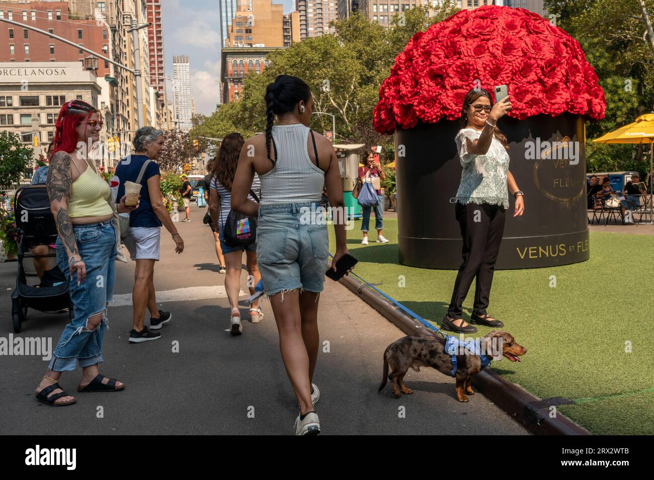 Venus et Fleur brand activation in Flatiron Plaza in New York on Friday