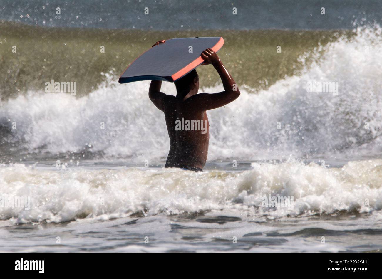Rear view of an African American man holding a boogie board on his head walking into a very rough ocean. Stock Photo
