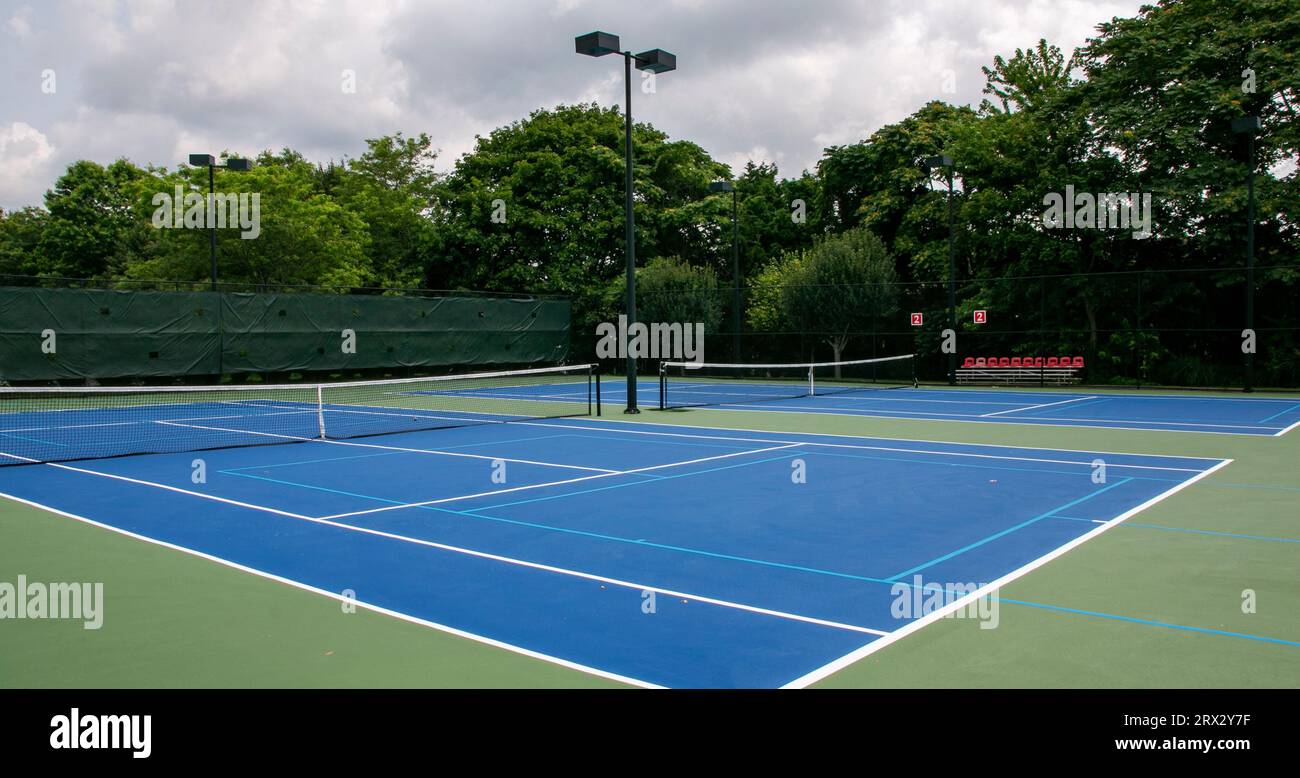 Cross court view of pickleball tennis courts painted blue and green with  lights and trees in the background Stock Photo - Alamy