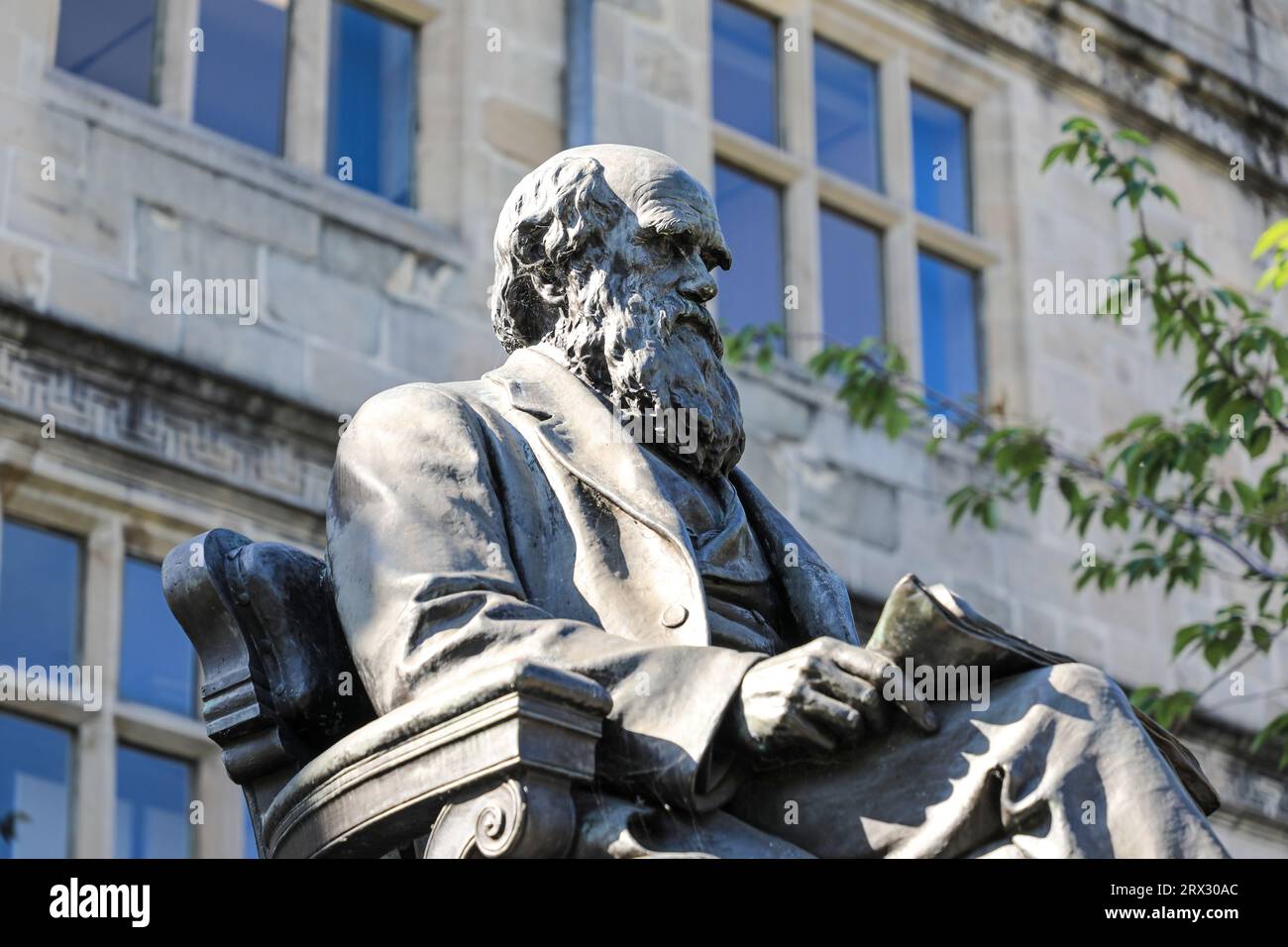 Statue of Charles Darwin in front of Shrewsbury Library, formerly Shrewsbury School, Shrewsbury, Shropshire, England, UK Stock Photo