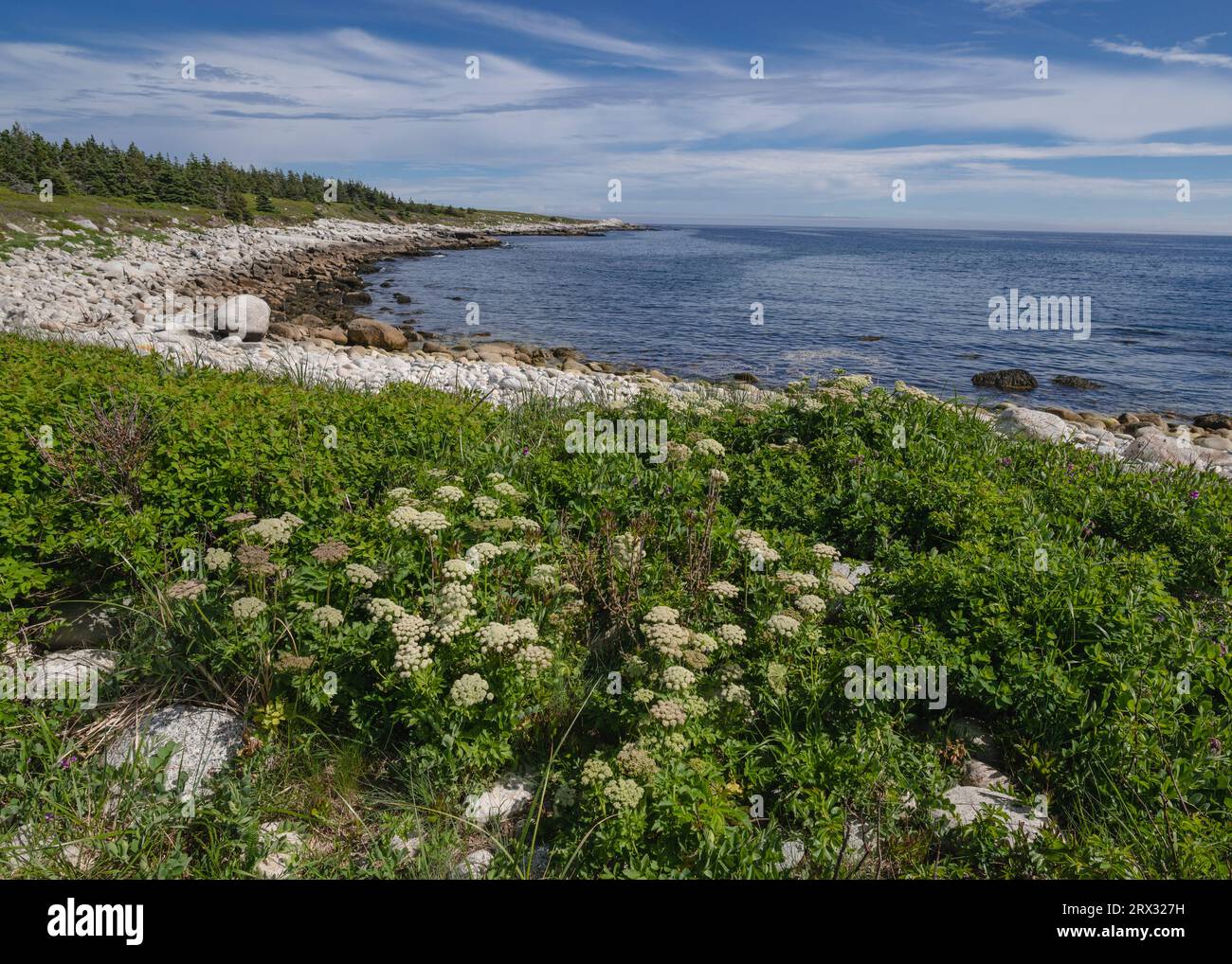 Rocky Coastline by the Atlantic Ocean, Dr. Bill Freedman Nature Preserve, Nature Conservancy of Canada, Nova Scotia, Canada, North America Stock Photo