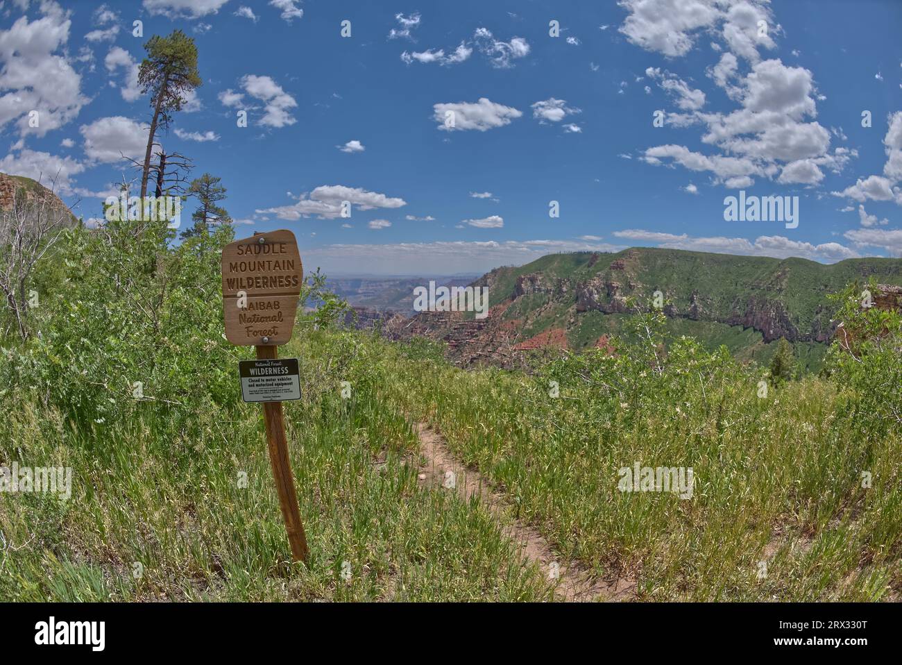 Sign marking the boundary for the Saddle Mountain Wilderness that borders Grand Canyon National Park, Arizona, United States of America, North America Stock Photo