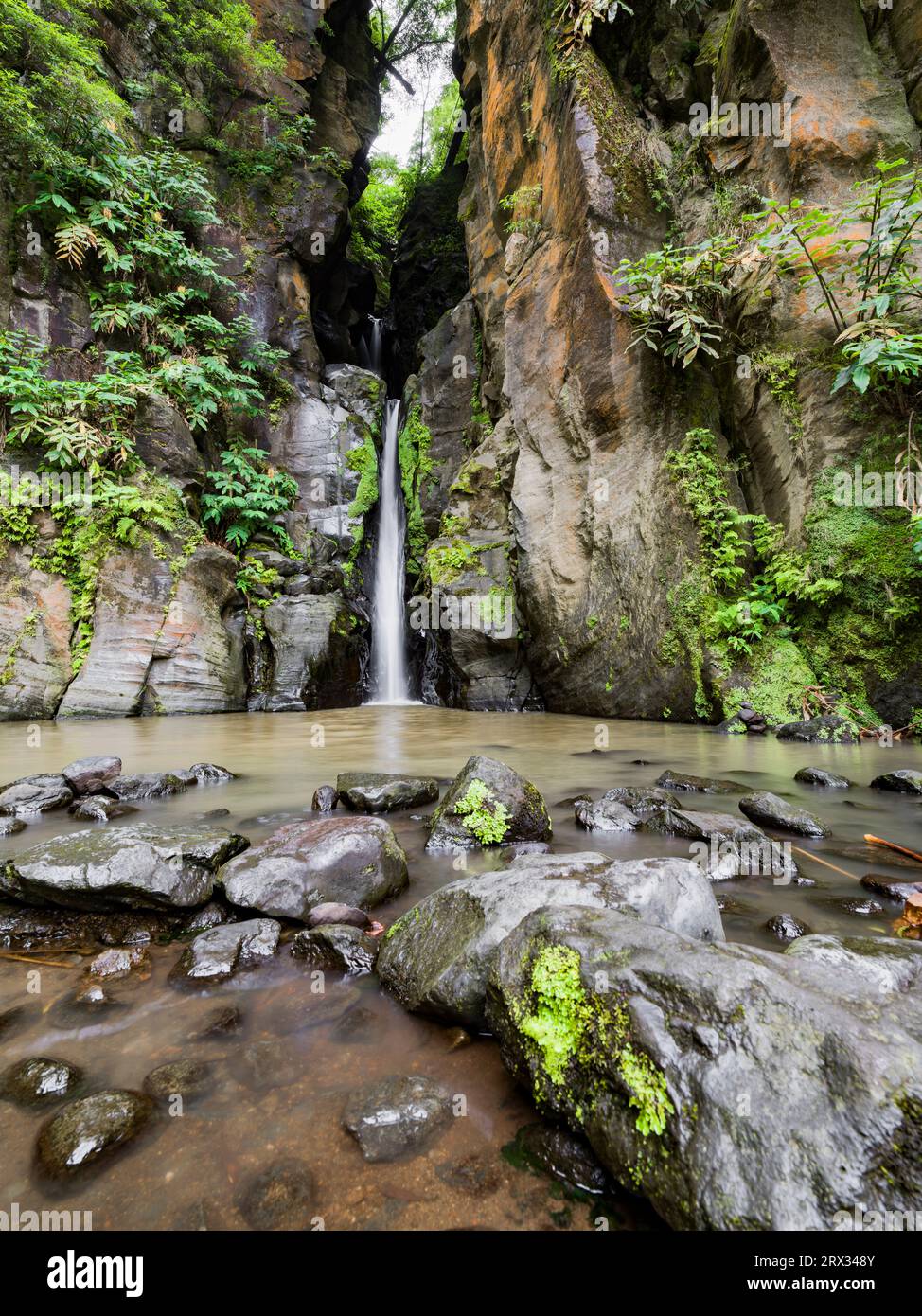 Cabrito hi-res stock photography and images - Alamy