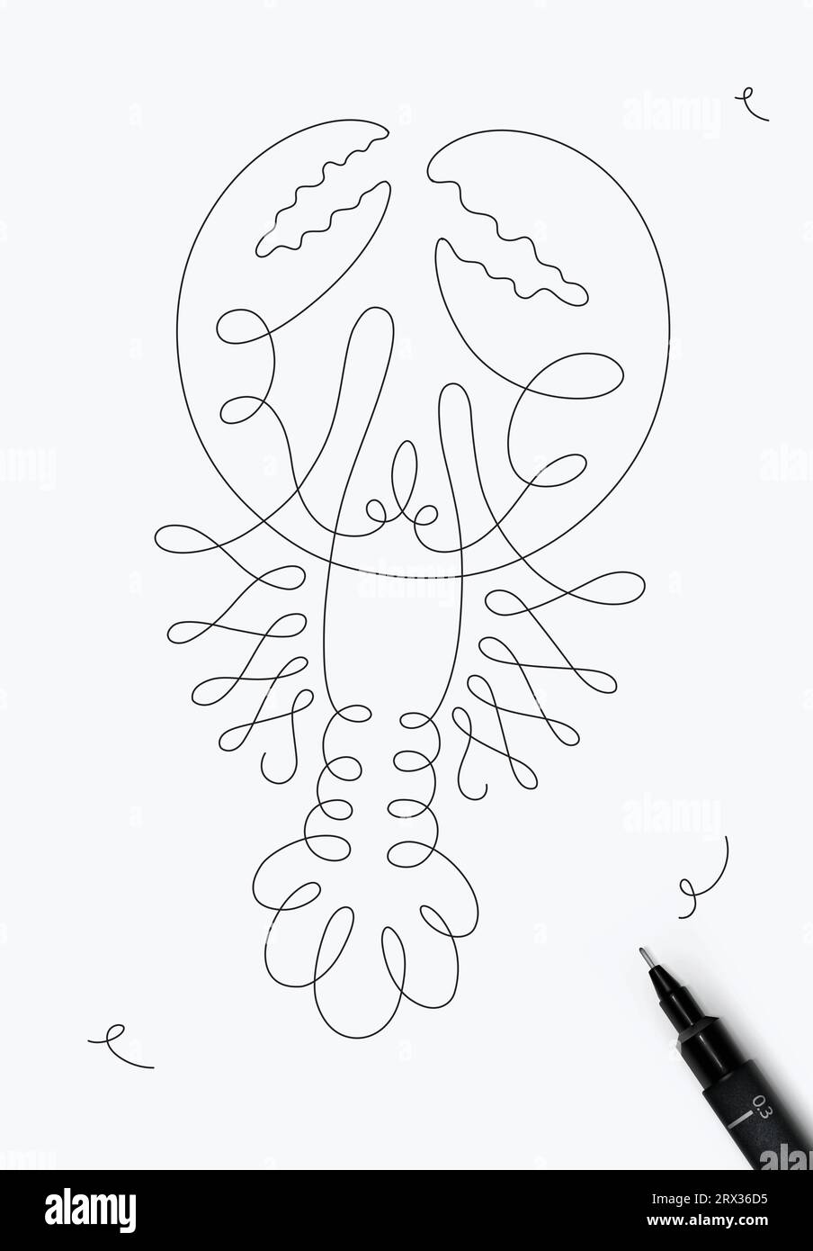 Lobster sea creature drawing in pen line style on white background Stock Vector