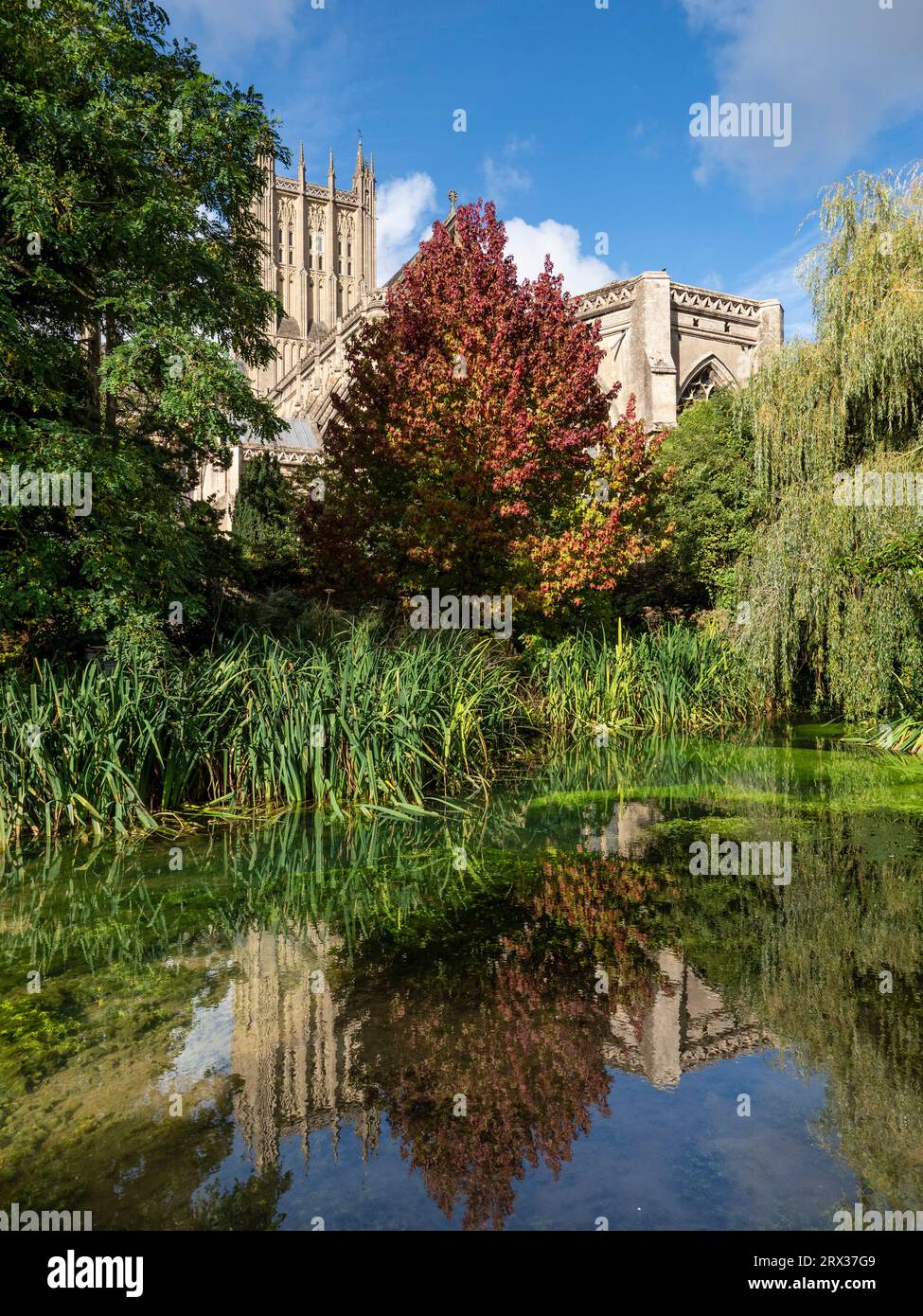 The Wells Garden, The Bishop's Palace, Wells, Somerset, England, United Kingdom, Europe Stock Photo