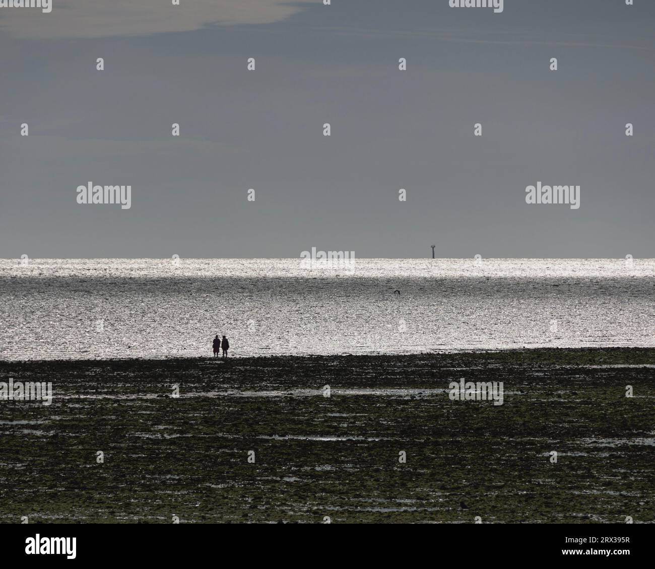 Two people in silhouette walking along the beach at low tide in Worthing, West Sussex, UK Stock Photo