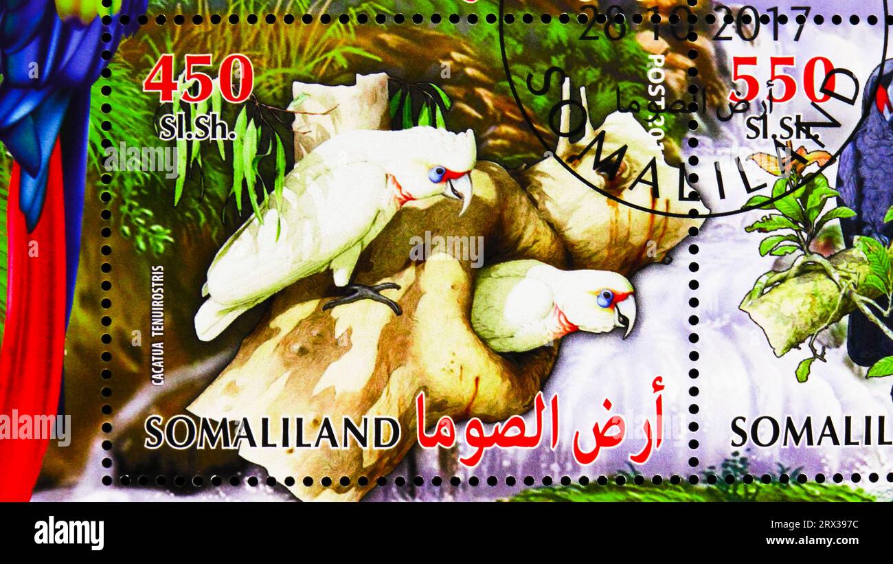 MOSCOW, RUSSIA - JULY 12, 2022: Postage stamp printed in Somalia shows Cacatua Tenuirostris, Parrots serie, circa 2017 Stock Photo