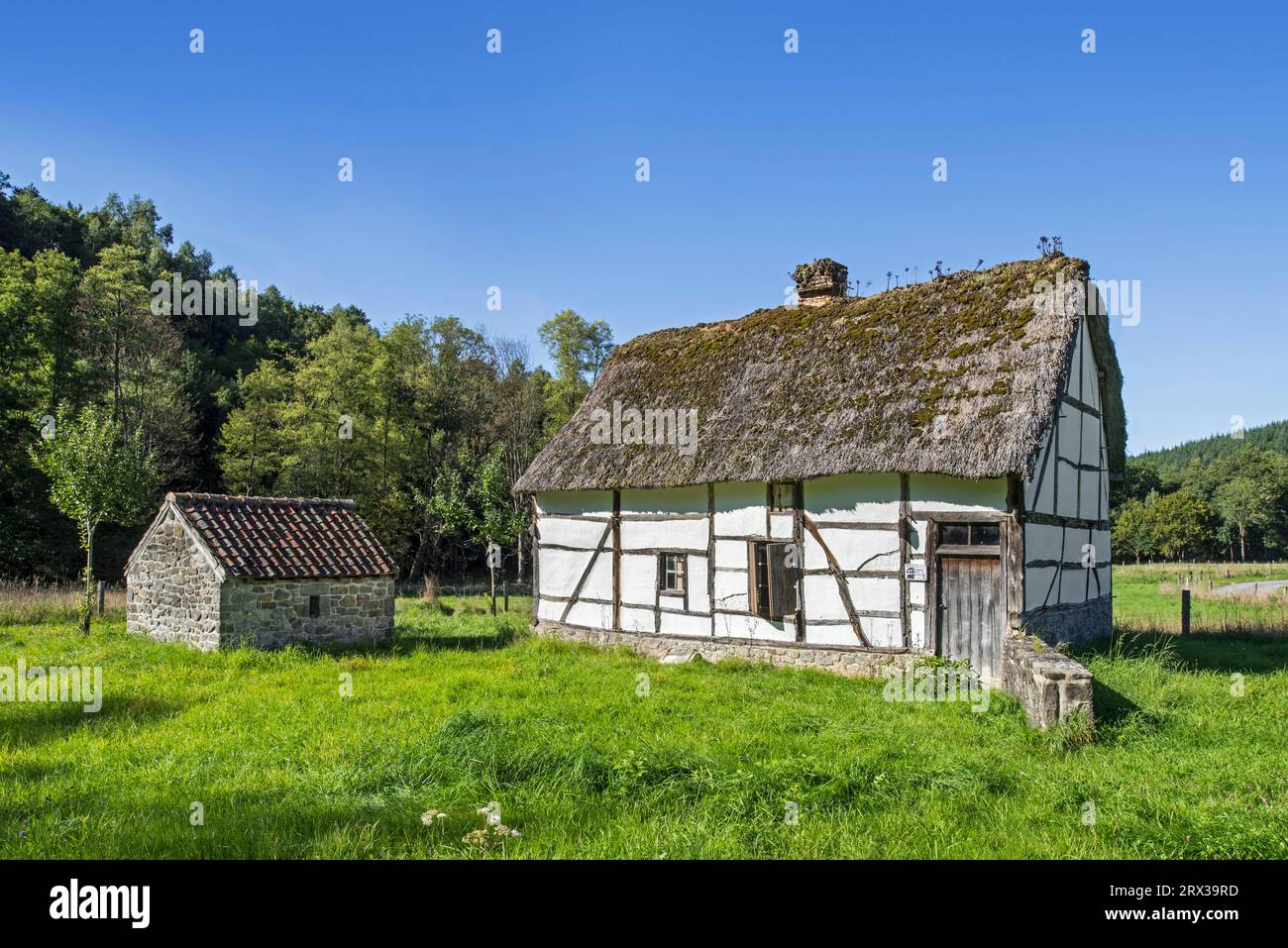 19th century cottage at Domaine du Fourneau Saint-Michel, open-air museum of Walloon rural life at Saint-Hubert, Luxembourg, Belgian Ardennes, Belgium Stock Photo