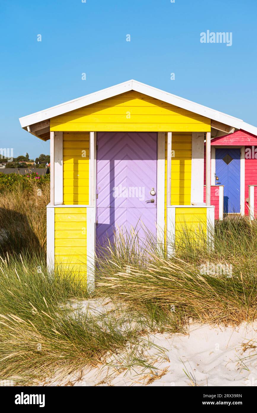 Frontal view of the wooden front of a yellow bathing hut on the beach of Skanör med Falsterbo at the Öresund in the evening sun, Skåne, Sweden Stock Photo