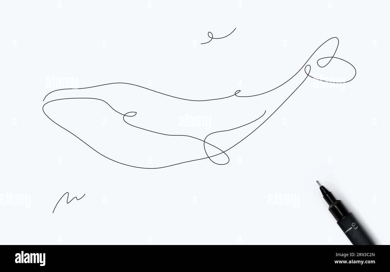 Whale sea creature drawing in pen line style on white background Stock