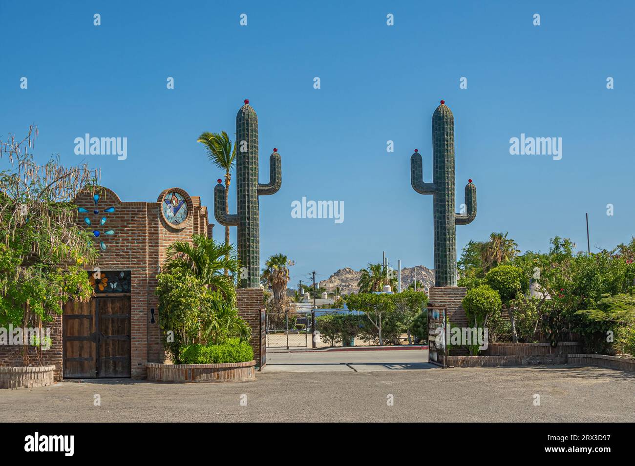 Cactus de vidrio hires stock photography and images Alamy
