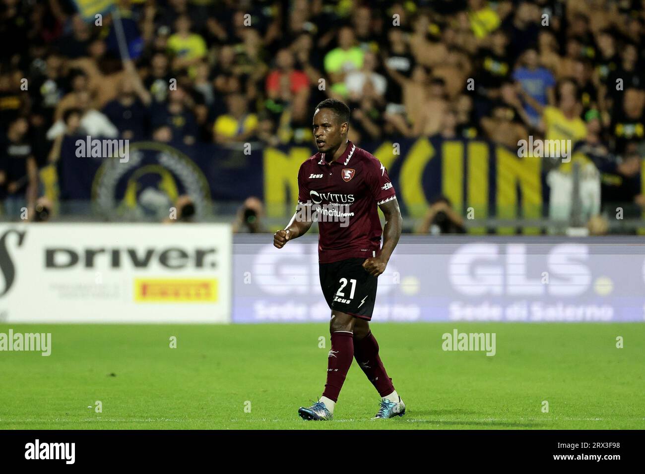 Salerno, Italy. 25th Aug, 2023. Jovane Cabral of US Salernitana celebrates after scoring the goal of 1-1 during the Serie A football match between US Salernitana and Frosinone Calcio at Arechi stadium in Salerno (Italy), September 22nd, 2023. Credit: Insidefoto di andrea staccioli/Alamy Live News Stock Photo
