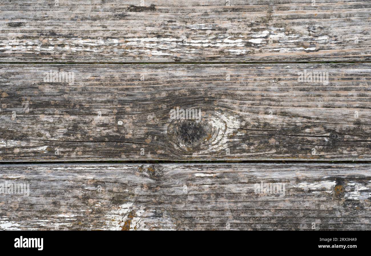 Old wood planks texture background. Light grey surface of wood with natural color Stock Photo