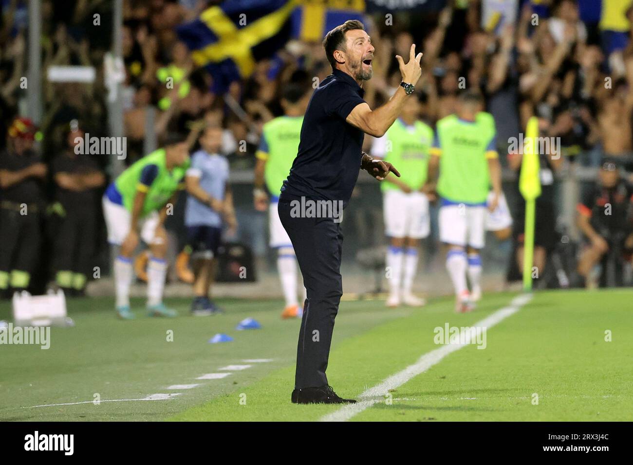 Salerno, Italy. 22nd Sep, 2023. Eusebio Di Francesco head coach of Frosinone gestures during the Serie A football match between US Salernitana and Frosinone Calcio at Arechi stadium in Salerno (Italy), September 22nd, 2023. Credit: Insidefoto di andrea staccioli/Alamy Live News Stock Photo