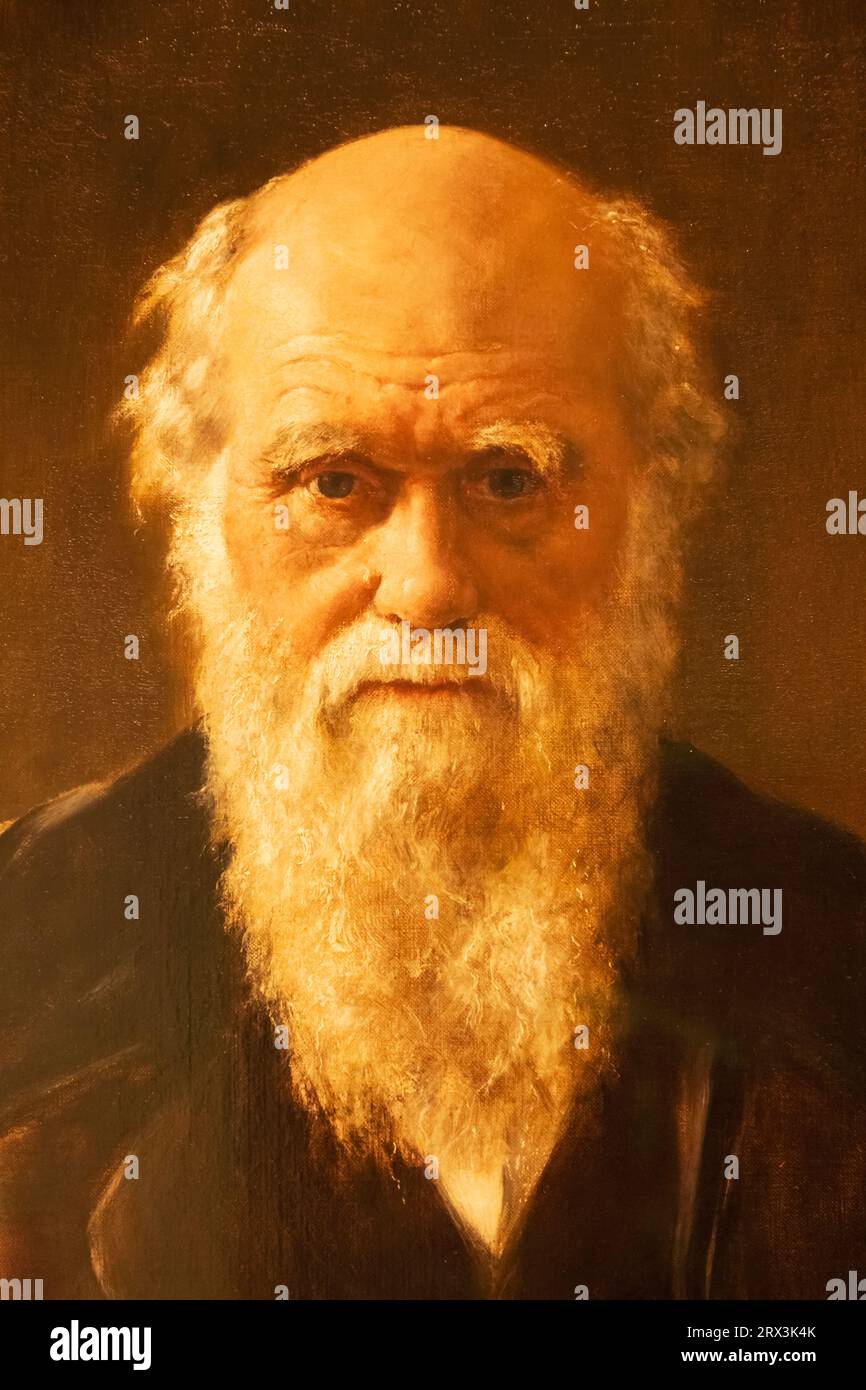 England, London, Portrait of Charles Darwin (1809-82) by John Collier dated 1883 Stock Photo
