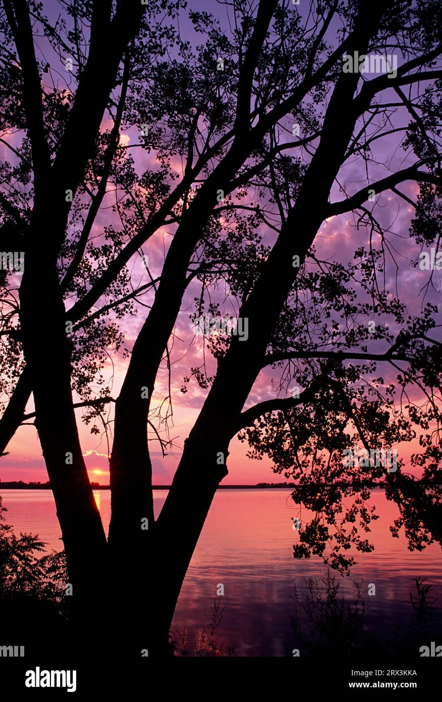 Fox Lake, Everett Park, Minnesota Stock Photo Alamy