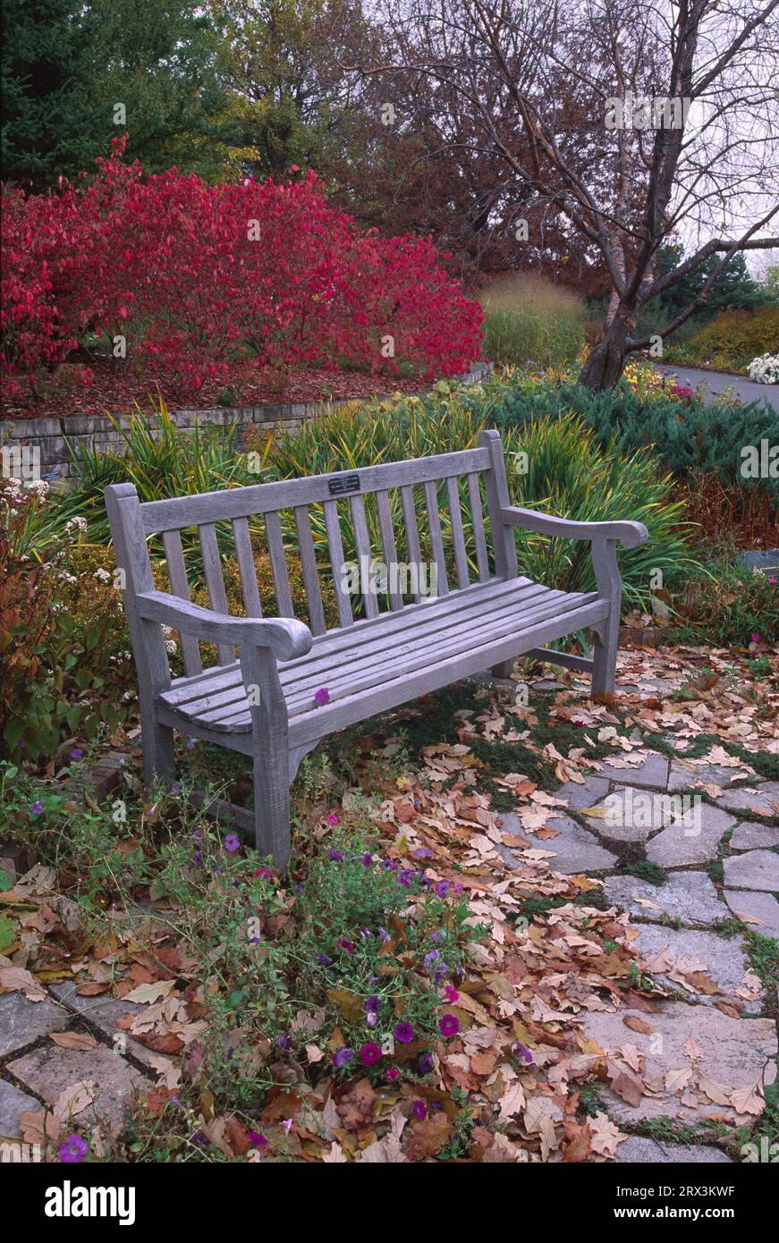 Garden bench, Minnesota Landscape Arboretum, Chanhassen, Minnesota