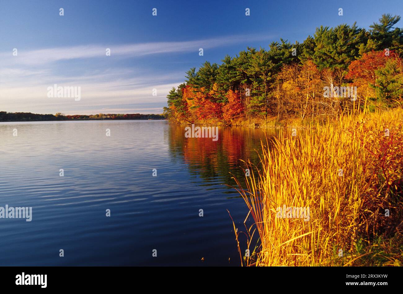 Lake Vadnais, Lake Vadnais Regional Park, Minnesota Stock Photo Alamy