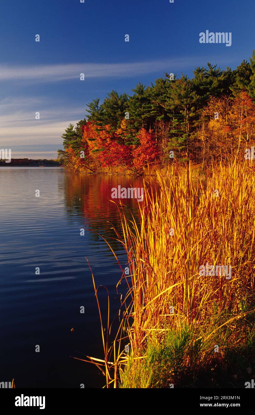 Lake Vadnais, Lake Vadnais Regional Park, Minnesota Stock Photo Alamy