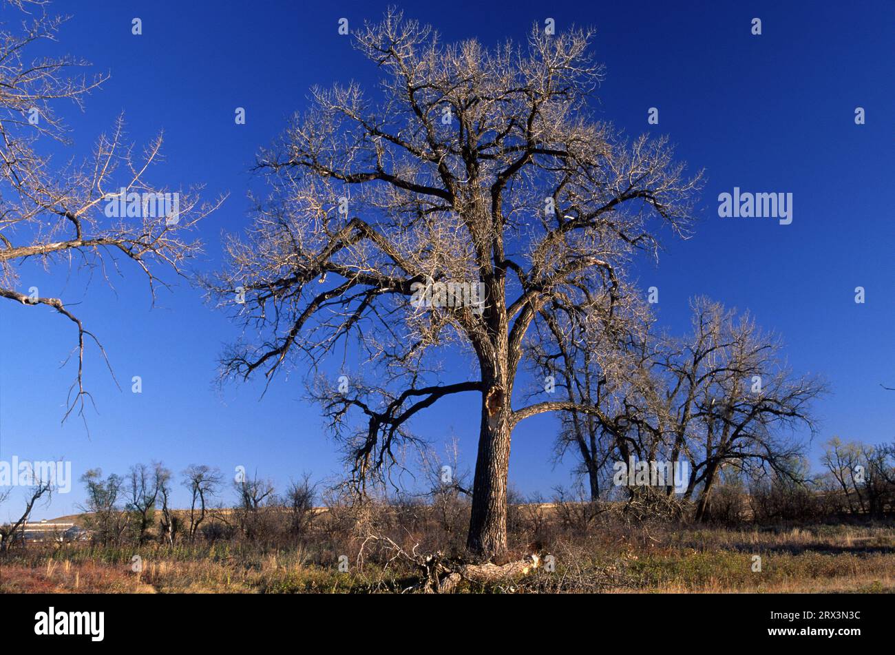 Ulm bridge fishing access site hi-res stock photography and images - Alamy