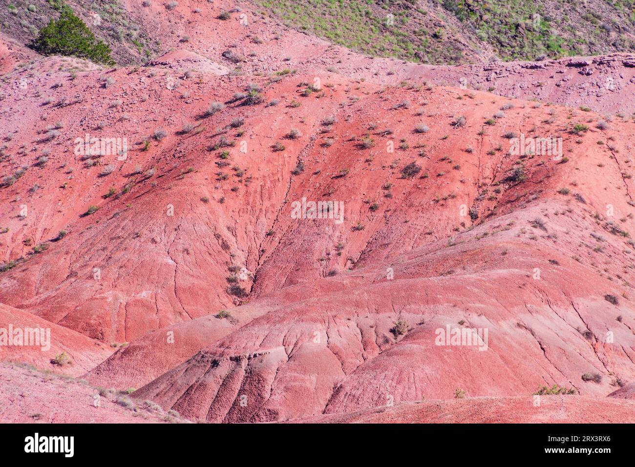 Painted Desert landscapes in the Petrified Forest National Park in Arizona. First established as a National Monument in 1906 by President Theodore Roo Stock Photo