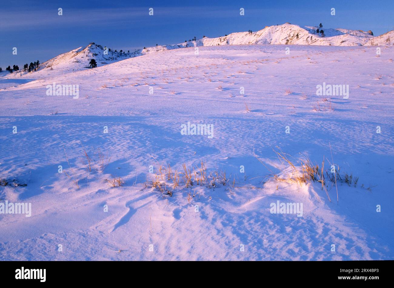 Winter grassland, Fort Robinson State Park, Nebraska Stock Photo