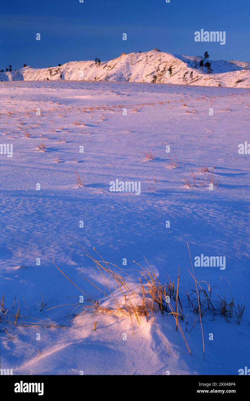 Winter grassland, Fort Robinson State Park, Nebraska Stock Photo