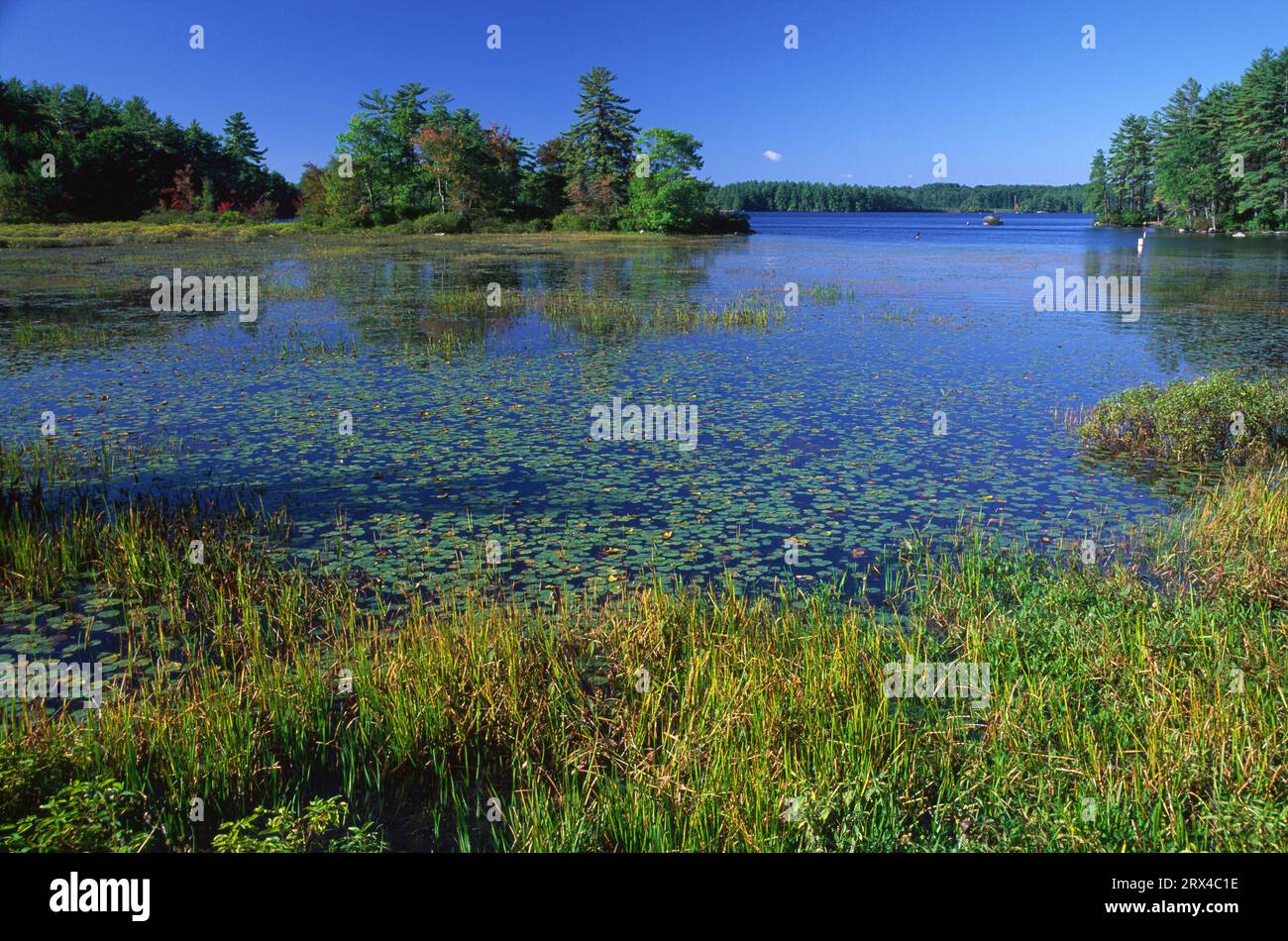 Massabesic lake hi-res stock photography and images - Alamy