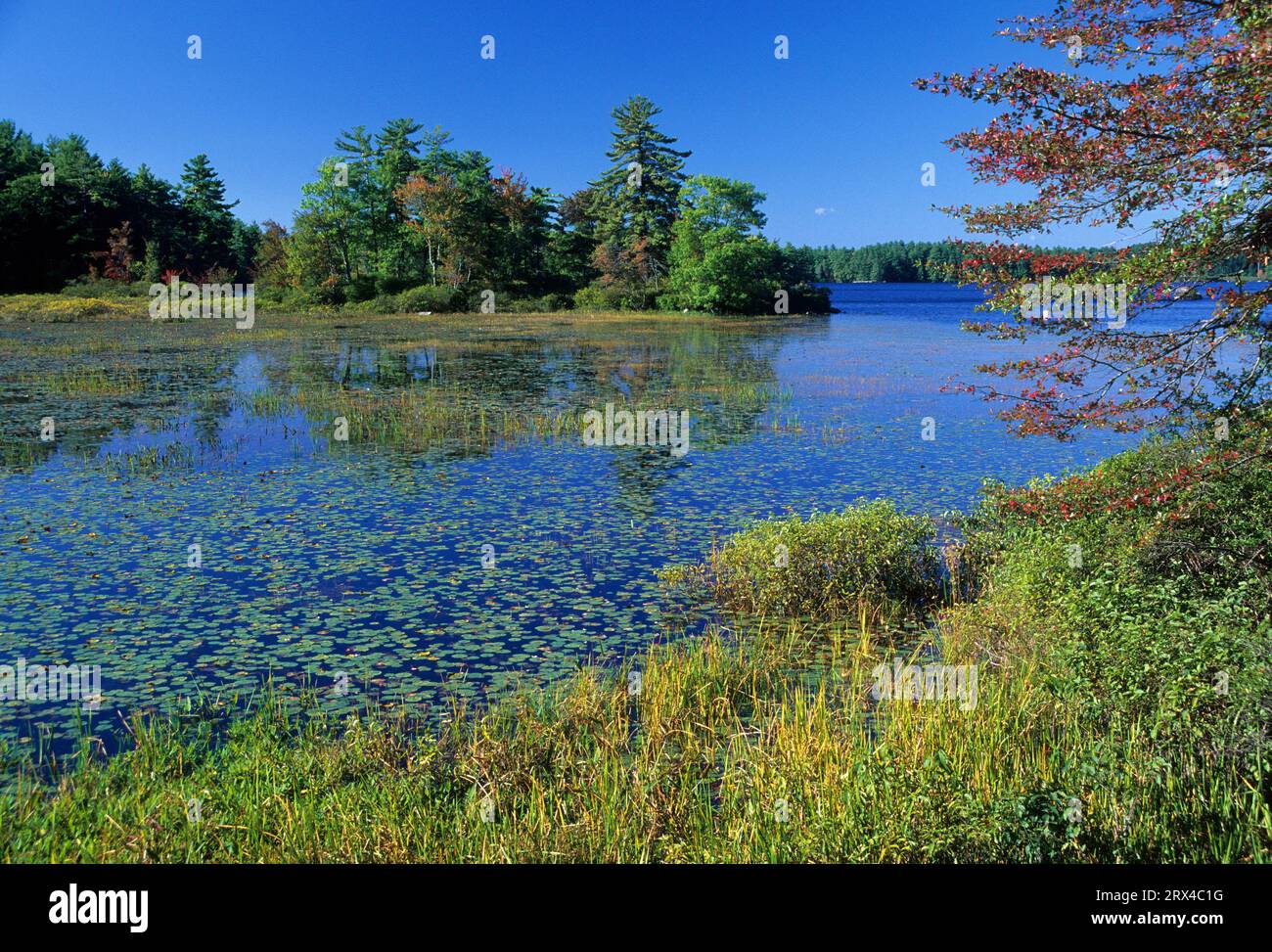 The front park hires stock photography and images Alamy