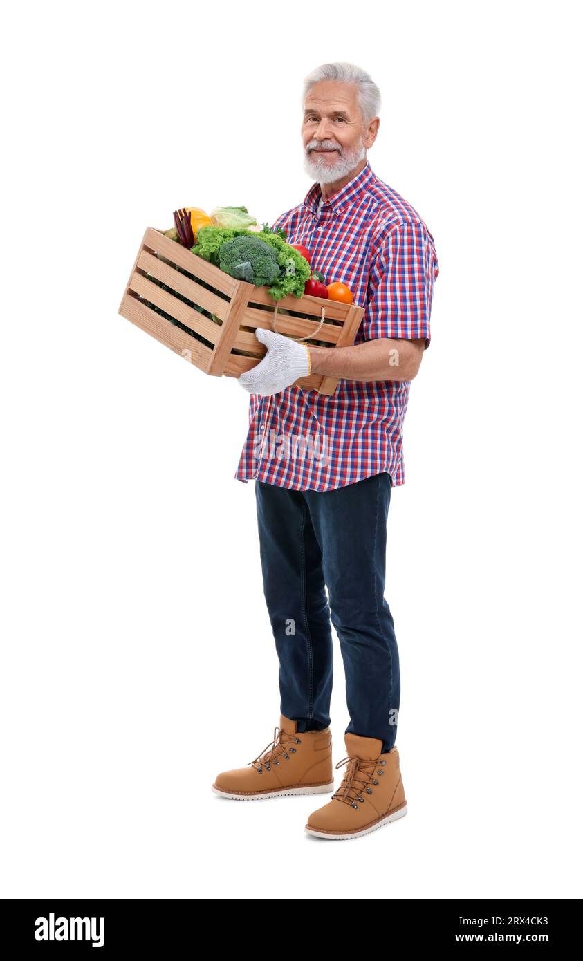 Harvesting season. Farmer holding wooden crate with vegetables on white ...