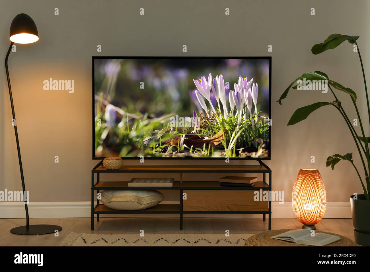Small flowers on TV screen in room Stock Photo