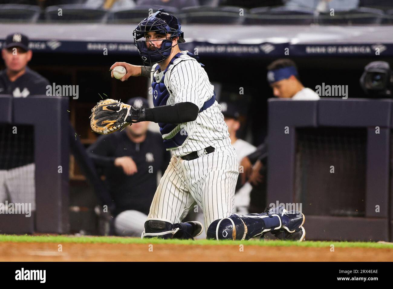 Yankees' Catching Future: Rice Vs. Wells – The Verdict Is In? - bsrozhk