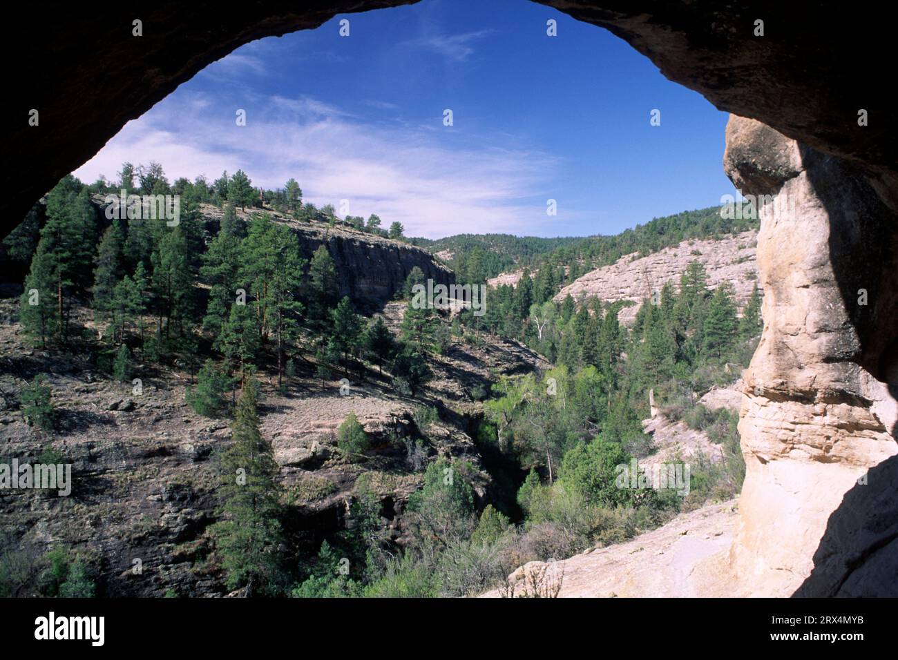 View up Cliff Dweller Canyon, Gila Cliff Dwellings National Monument, New Mexico Stock Photo