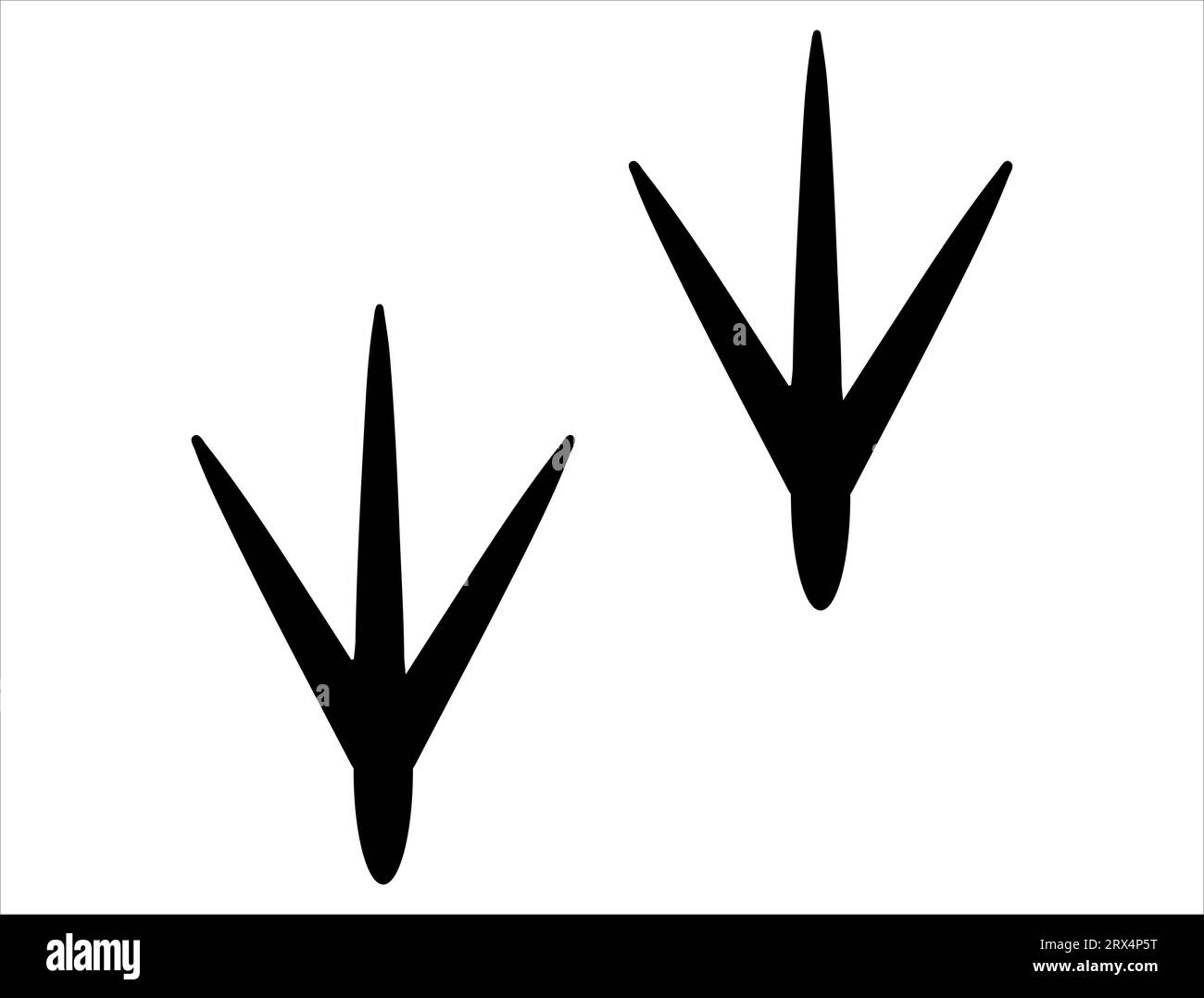 Bird feet silhouette vector art Stock Vector