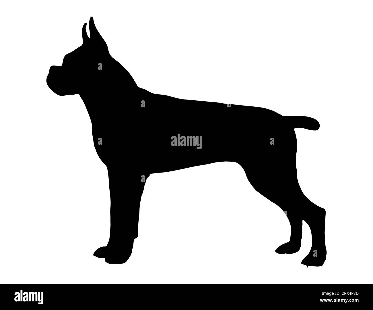 Boxer dog silhouette vector art white background Stock Vector Image