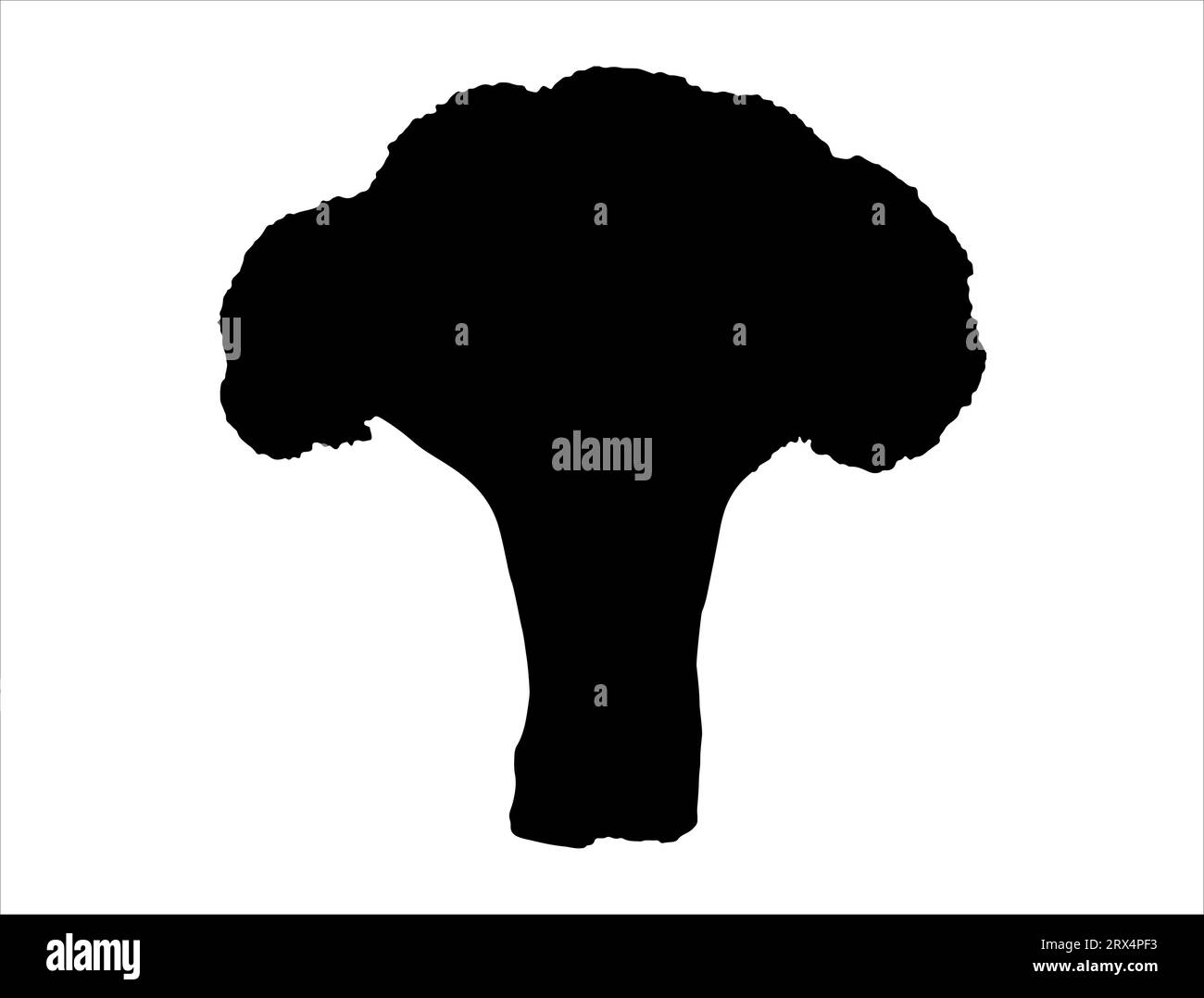 Broccoli silhouette vector art white background Stock Vector