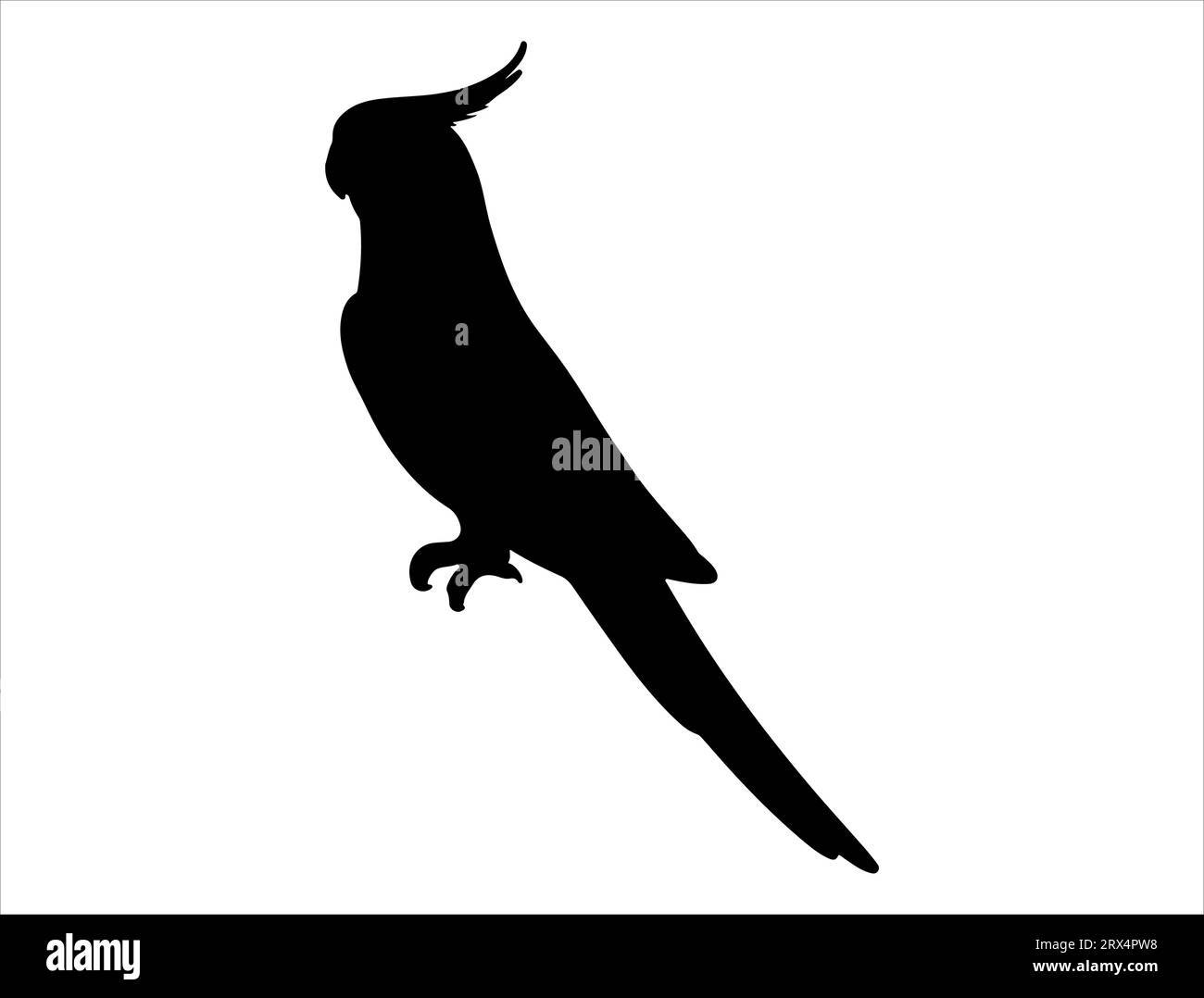 Cockatiel silhouette vector art white background Stock Vector