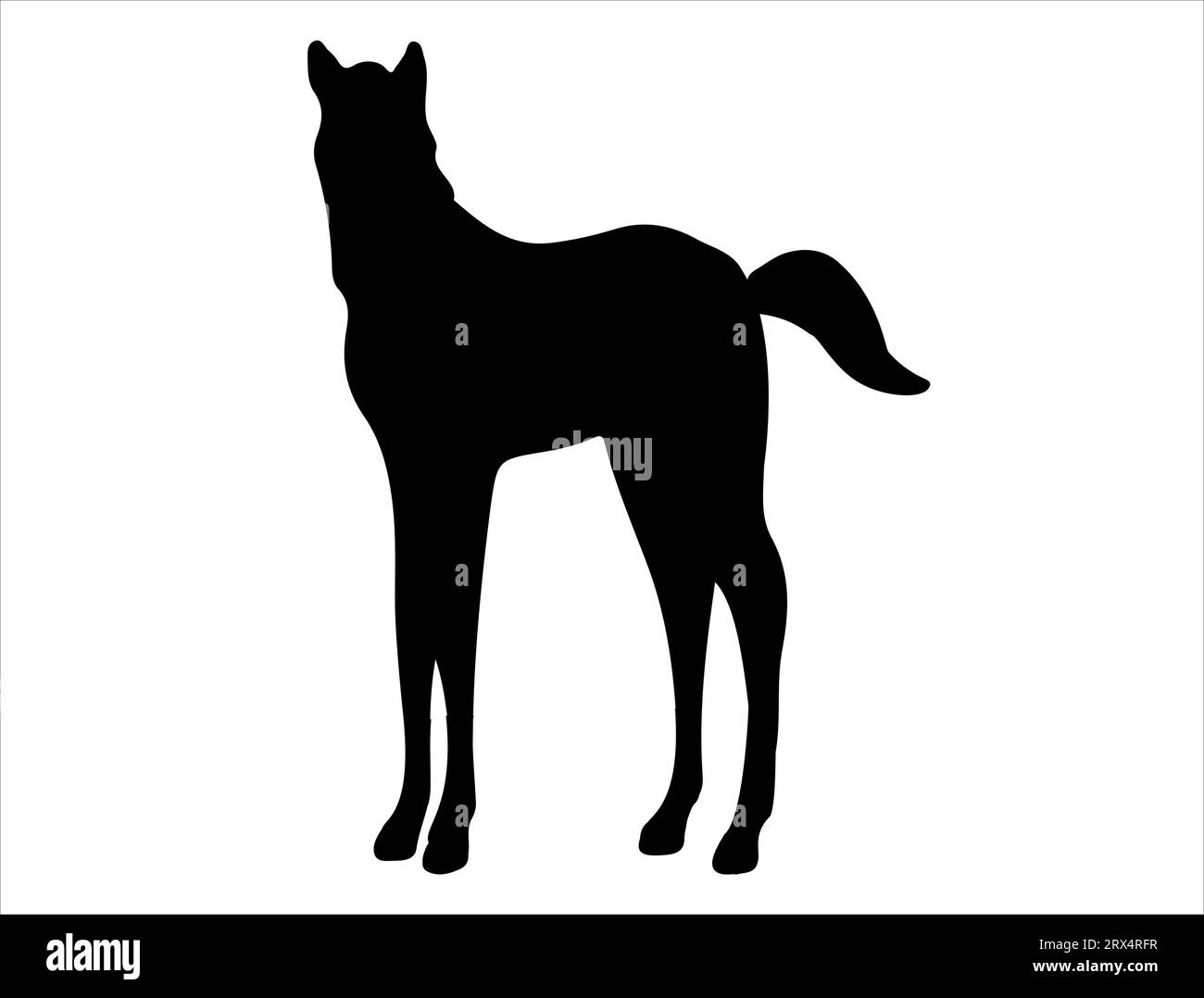 Foal silhouette vector art white background Stock Vector